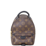 Louis Vuitton Palm Springs Mini Backpack Monogram