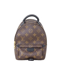 Louis Vuitton Palm Springs Mini Backpack Monogram