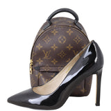 Louis Vuitton Palm Springs Mini Backpack Monogram