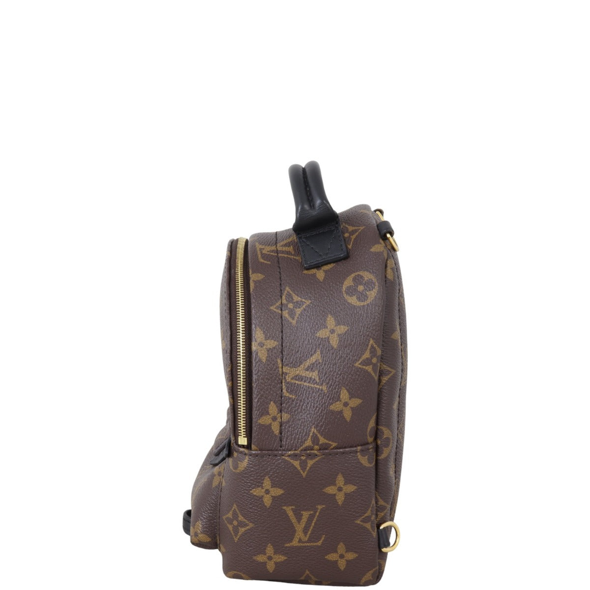Louis Vuitton Palm Springs Mini Backpack Monogram