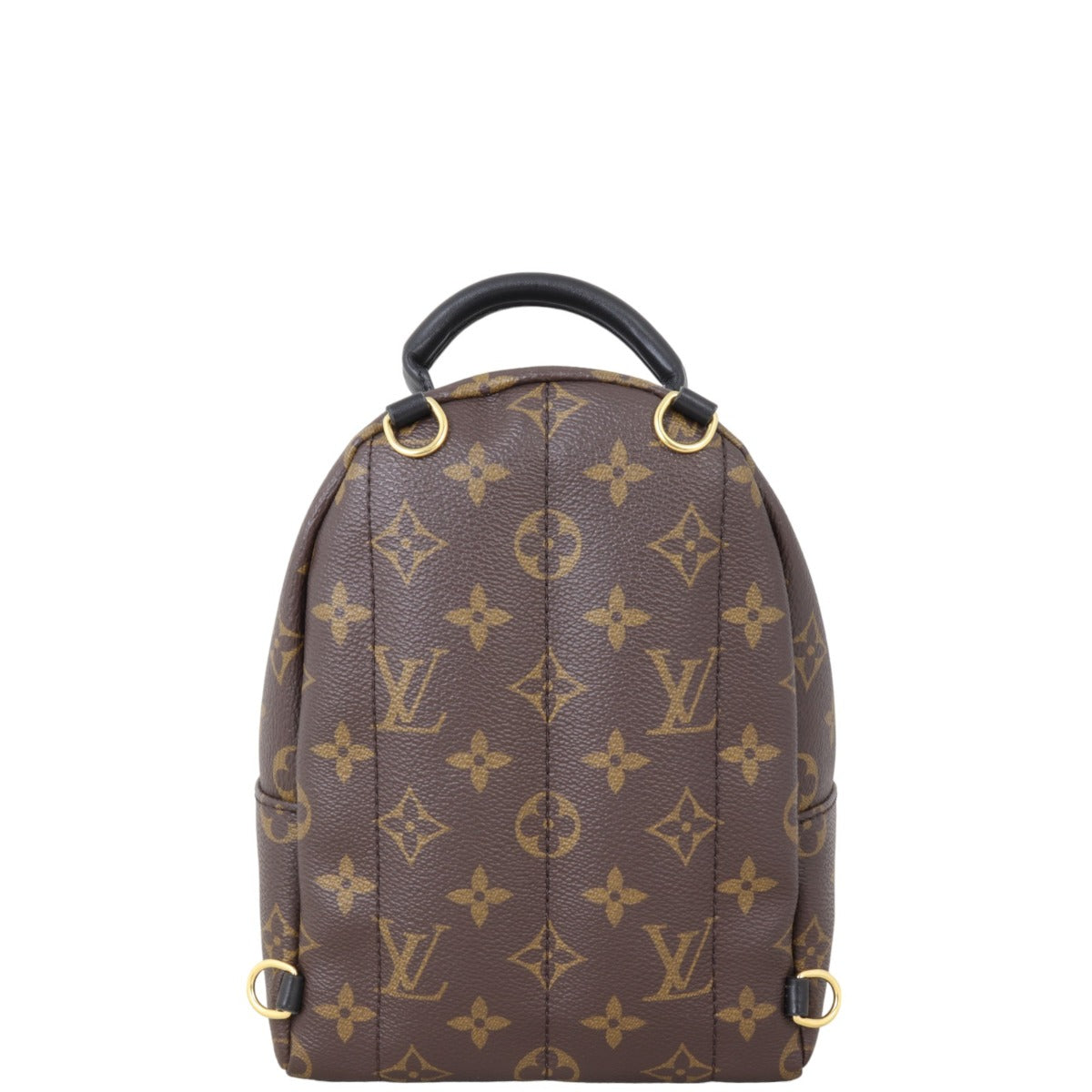 Louis Vuitton Palm Springs Mini Backpack Monogram
