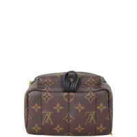 Louis Vuitton Palm Springs Mini Backpack Monogram