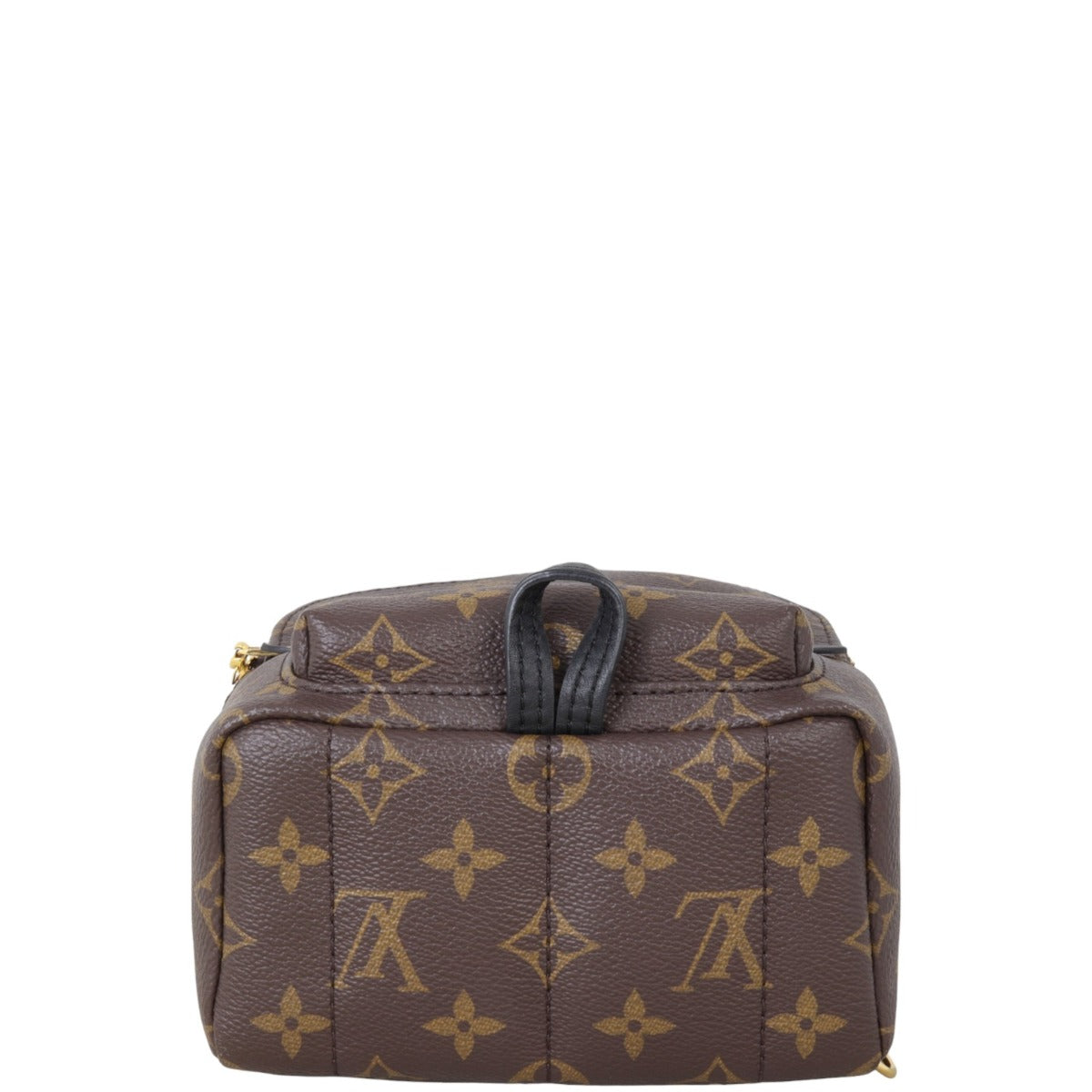 Louis Vuitton Palm Springs Mini Backpack Monogram
