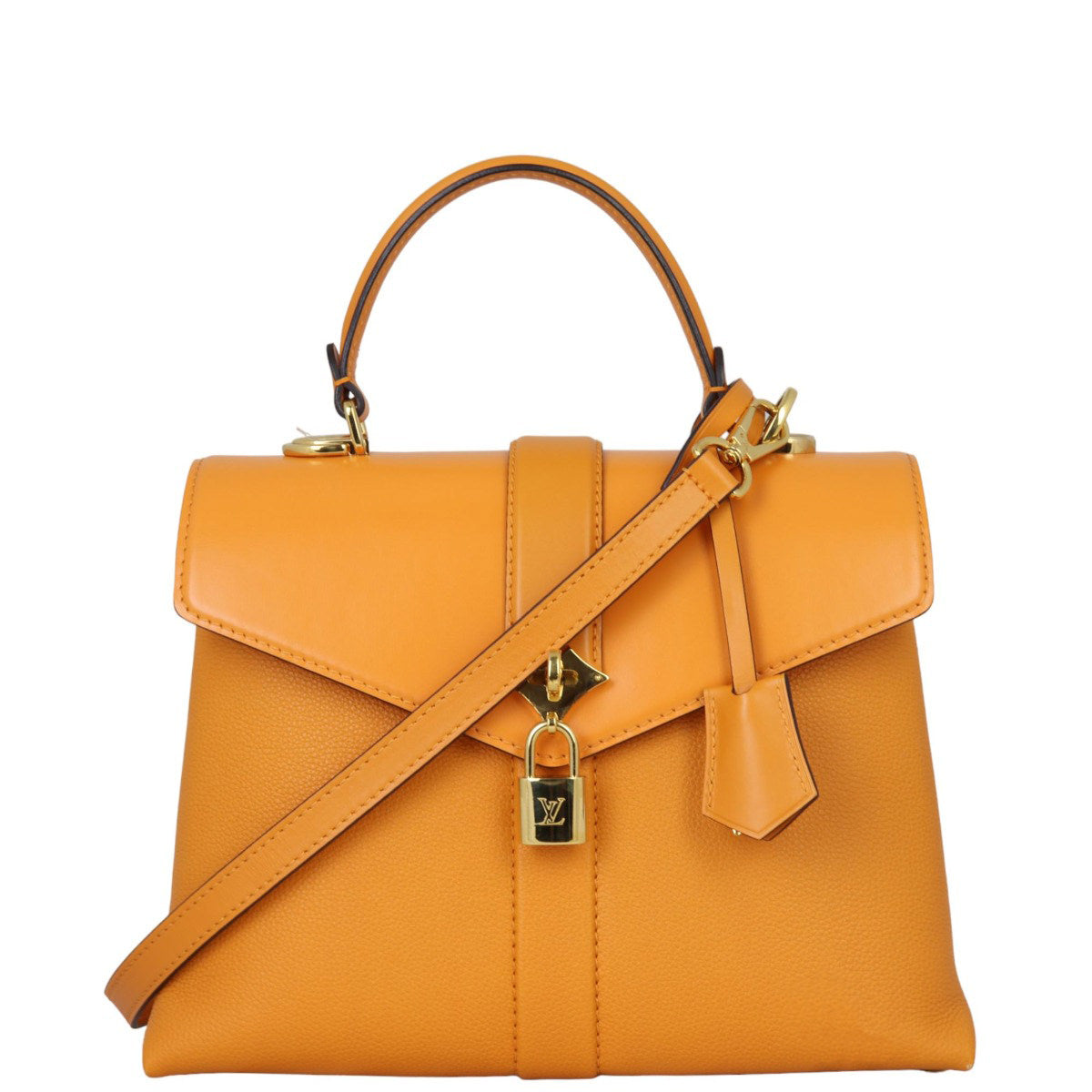 Louis Vuitton Rose des Vents Bag PM