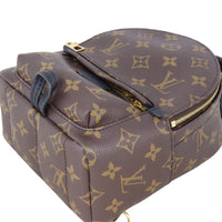 Louis Vuitton Palm Springs Mini Backpack Monogram