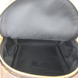 Louis Vuitton Palm Springs Mini Backpack Monogram