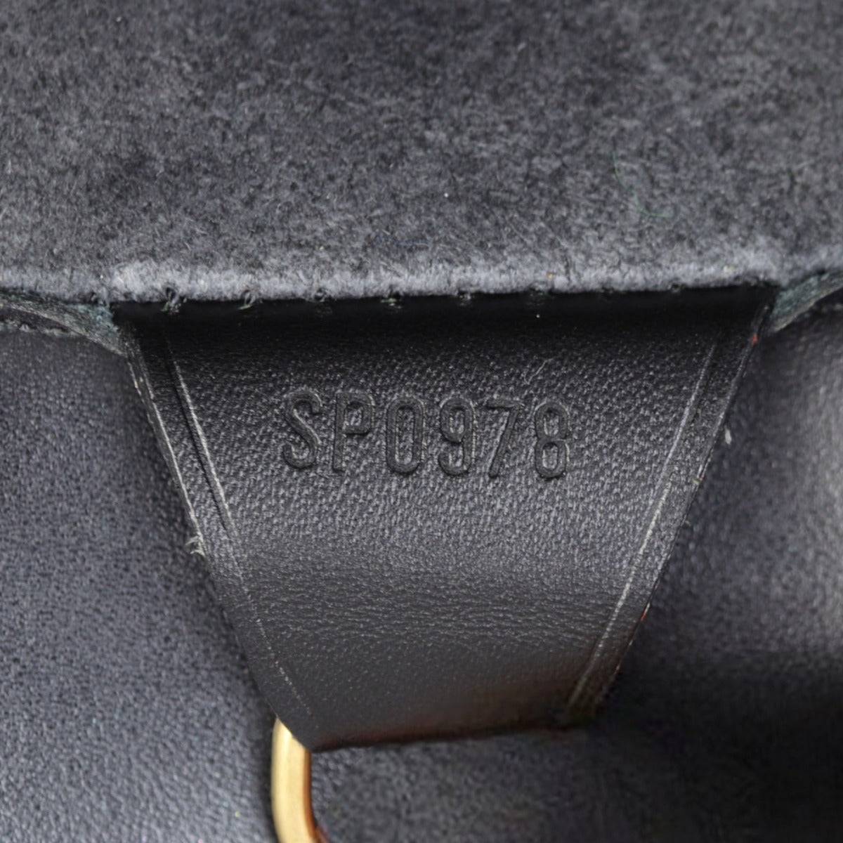 Louis Vuitton Dupleix Epi