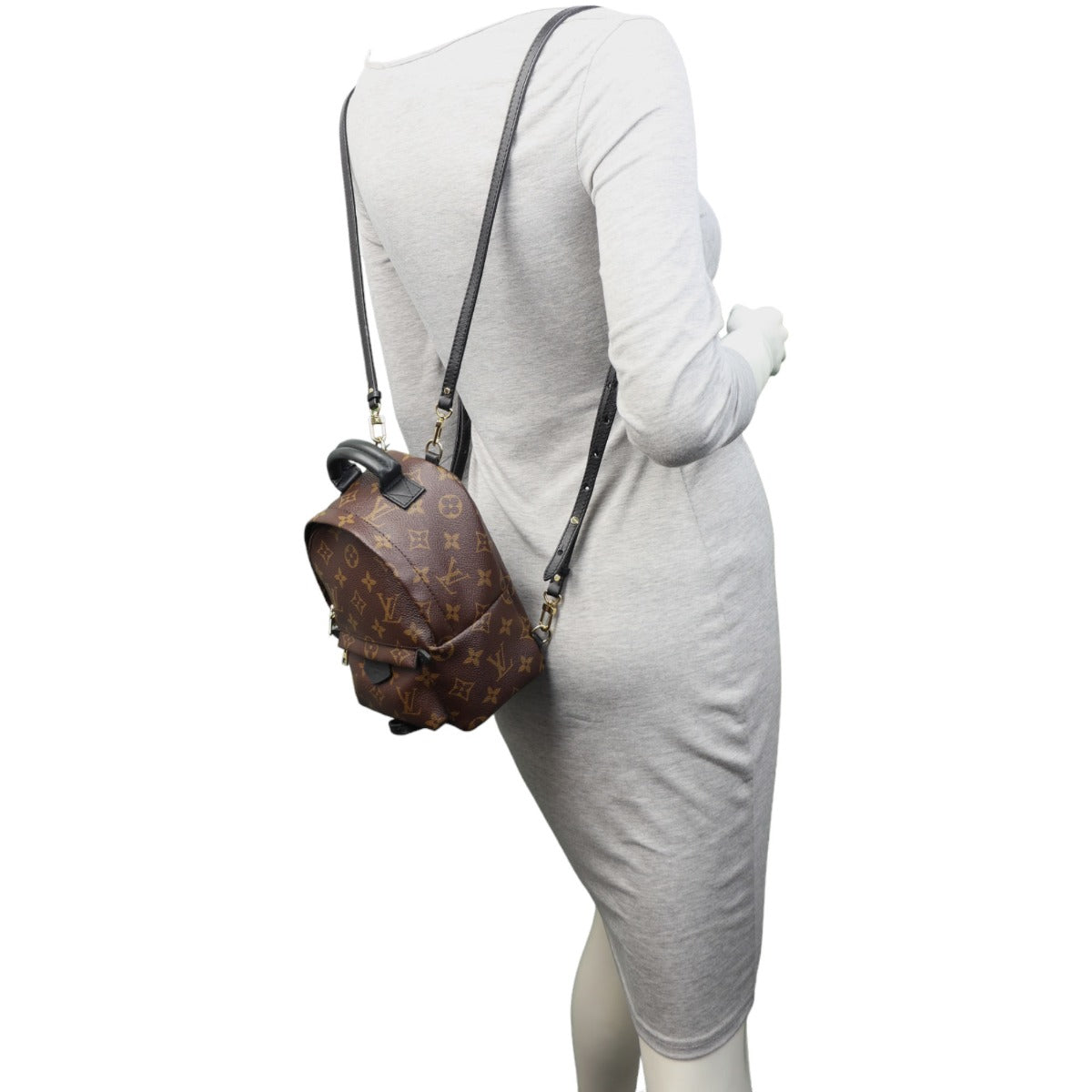 Louis Vuitton Palm Springs Mini Backpack Monogram