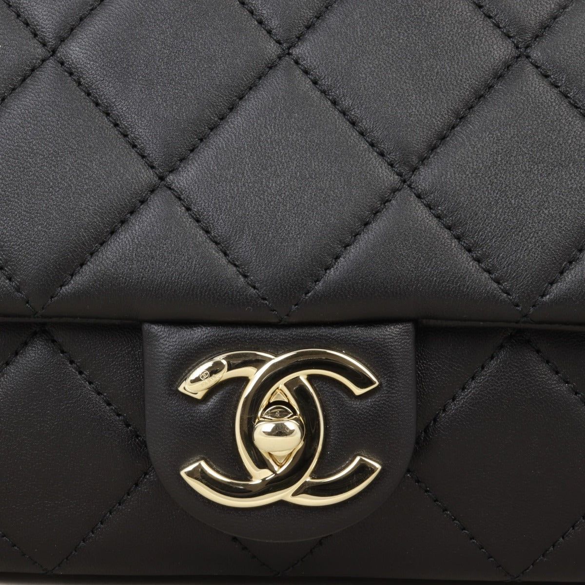 Chanel Elegant Plexi Double Chain Flap Bag