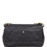 Chanel Elegant Plexi Double Chain Flap Bag