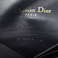 Dior Saddle Belt Pouch Oblique
