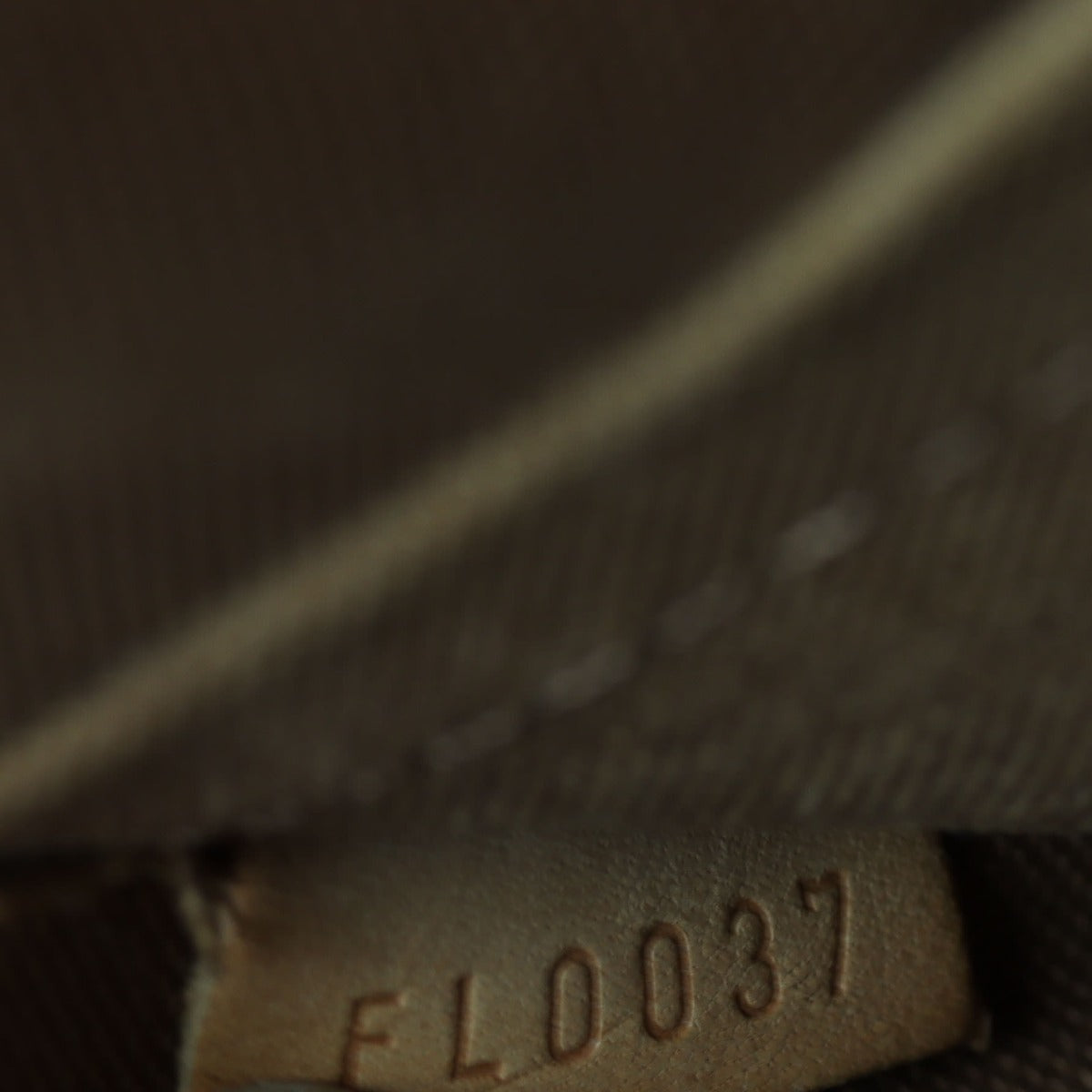 Louis Vuitton Popincourt Haut Monogram