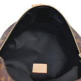 Louis Vuitton Bum Bag Monogram