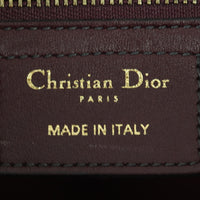Dior D-Fence Saddle Bag
