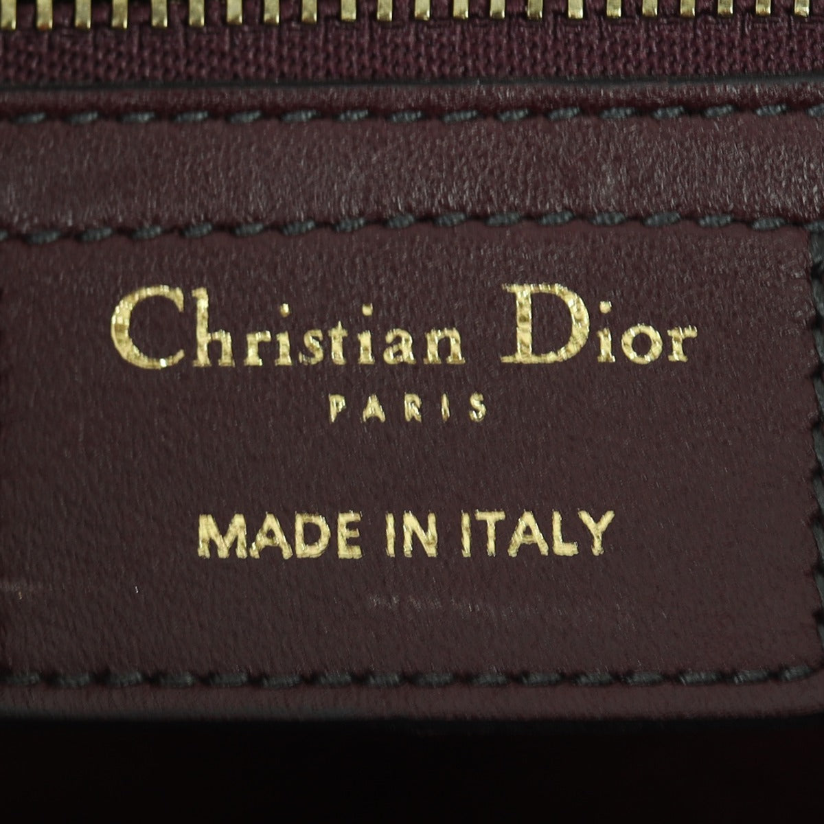 Dior D-Fence Saddle Bag