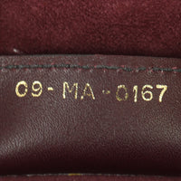 Dior D-Fence Saddle Bag