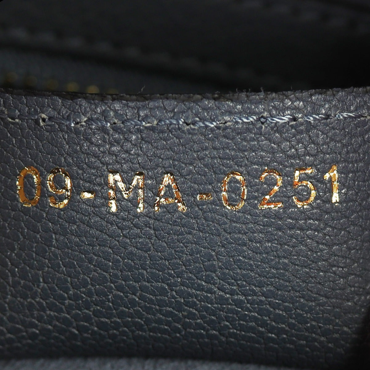 Dior Saddle Bag with Embroidered Strap