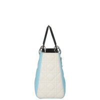 Dior Lady Dior Medium Tricolour