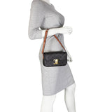 Celine Triomphe Canvas Shoulder Bag