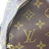 Louis Vuitton Palm Springs Mini Backpack Front