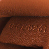 Celine Triomphe Canvas Shoulder Bag