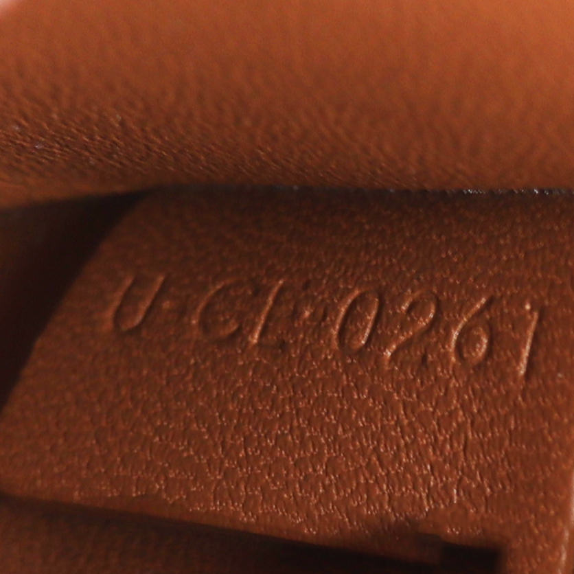 Celine Triomphe Canvas Shoulder Bag