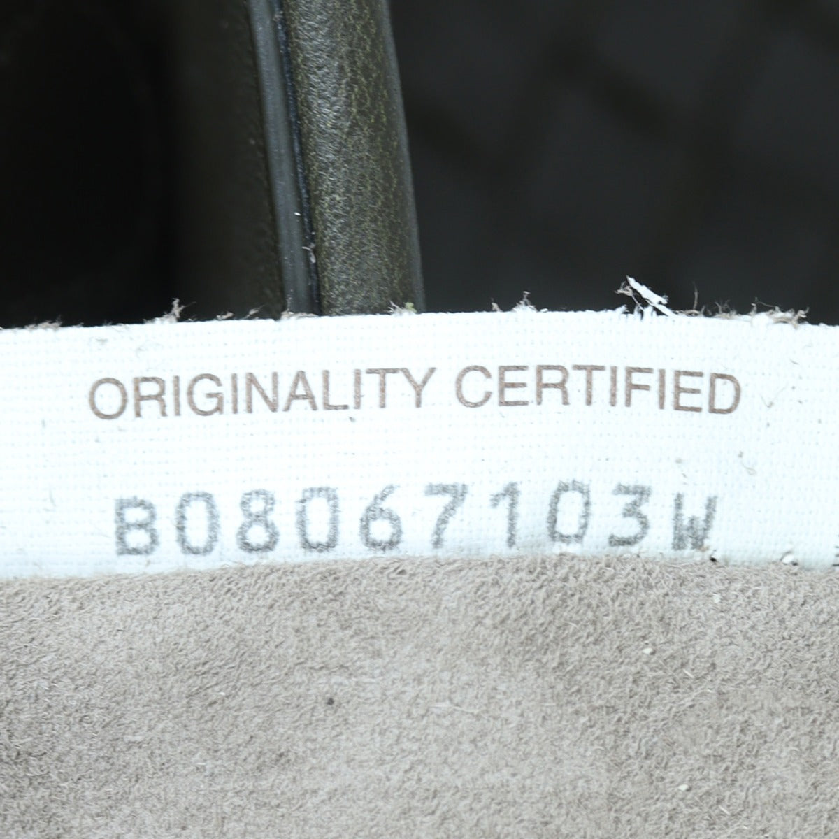 Bottega Veneta Intrecciato Olimpia Small