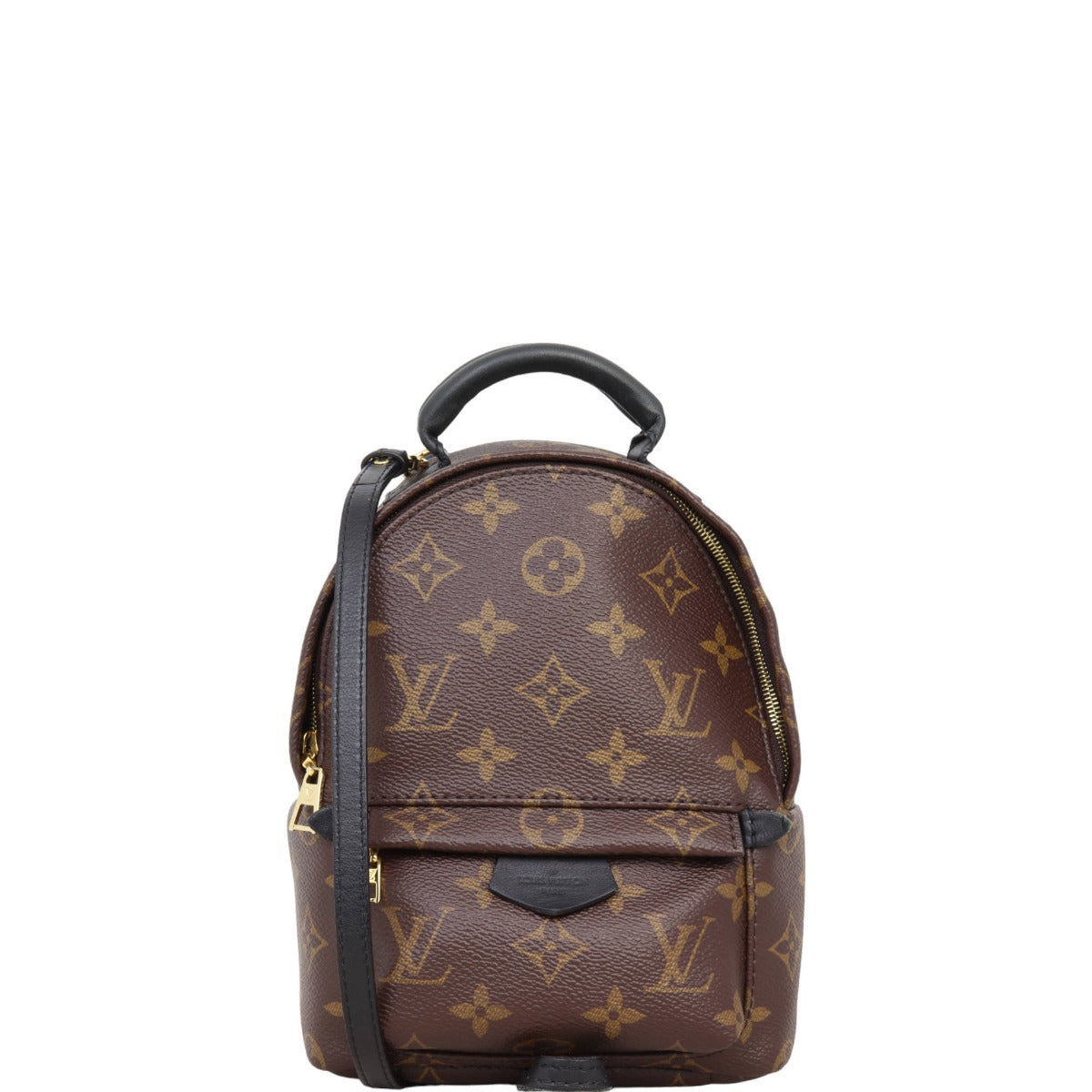Louis Vuitton Palm Springs Mini Backpack Monogram