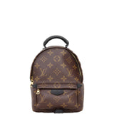 Louis Vuitton Palm Springs Mini Backpack Monogram