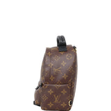 Louis Vuitton Palm Springs Mini Backpack Monogram
