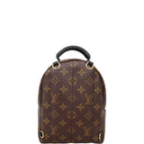 Louis Vuitton Palm Springs Mini Backpack Monogram