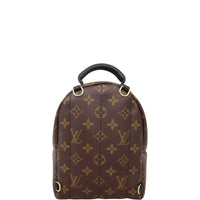 Louis Vuitton Palm Springs Mini Backpack Monogram