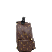Louis Vuitton Palm Springs Mini Backpack Monogram