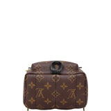 Louis Vuitton Palm Springs Mini Backpack Monogram