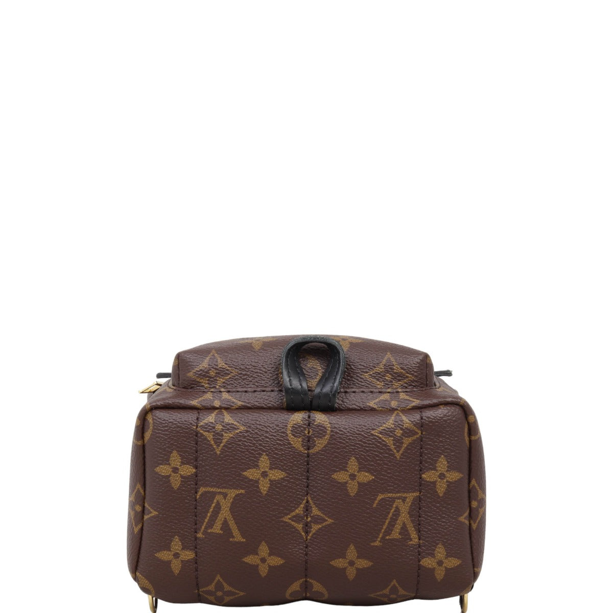 Louis Vuitton Palm Springs Mini Backpack Monogram