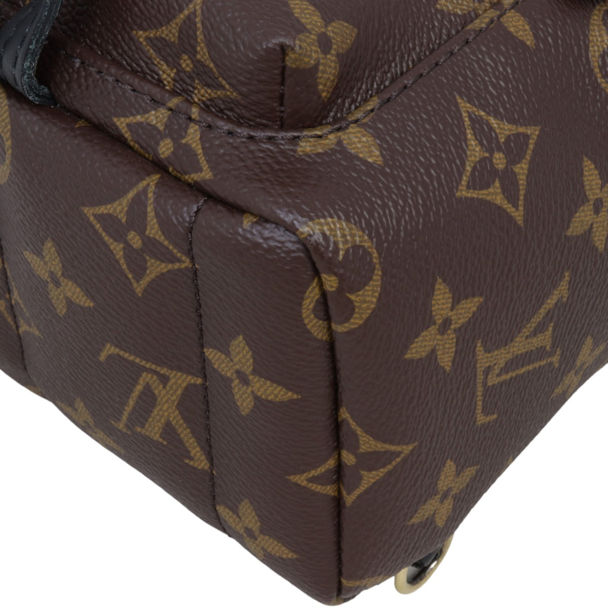 Louis Vuitton Palm Springs Mini Backpack Monogram