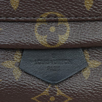 Louis Vuitton Palm Springs Mini Backpack Monogram