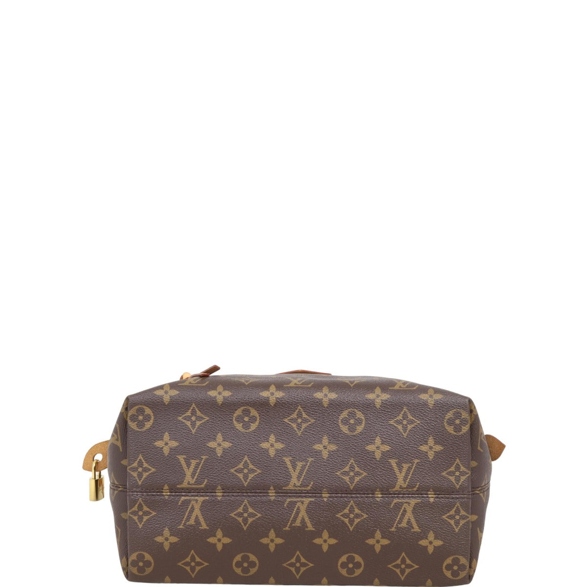 Louis Vuitton Iena PM Monogram