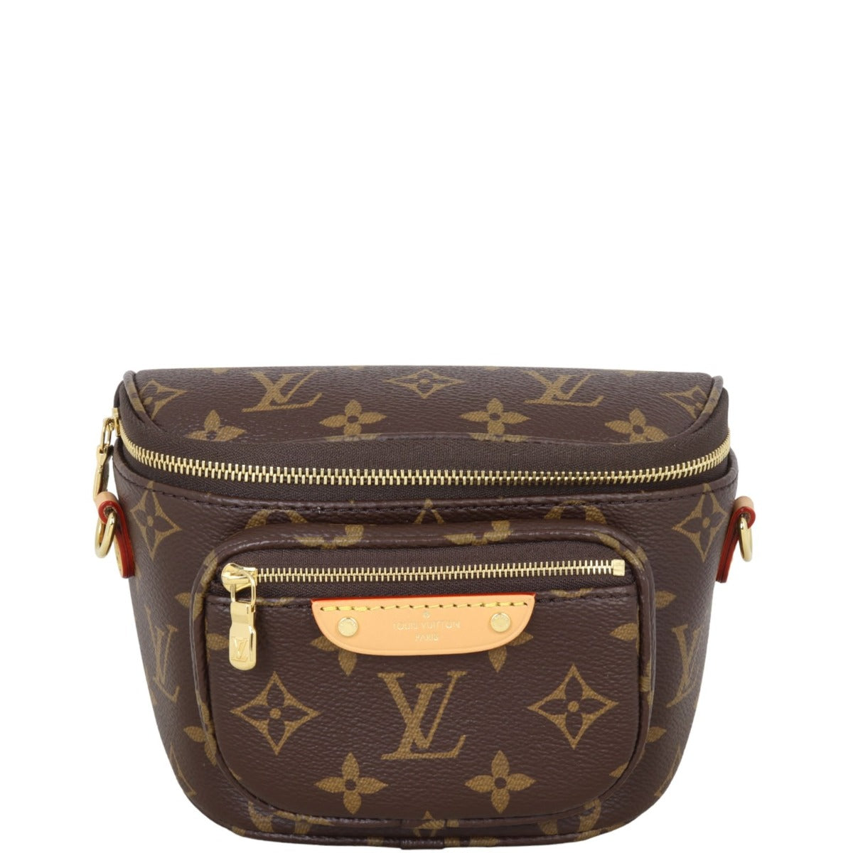 Louis Vuitton Mini Bumbag Monogram