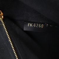 Louis Vuitton Vavin PM Damier Ebene