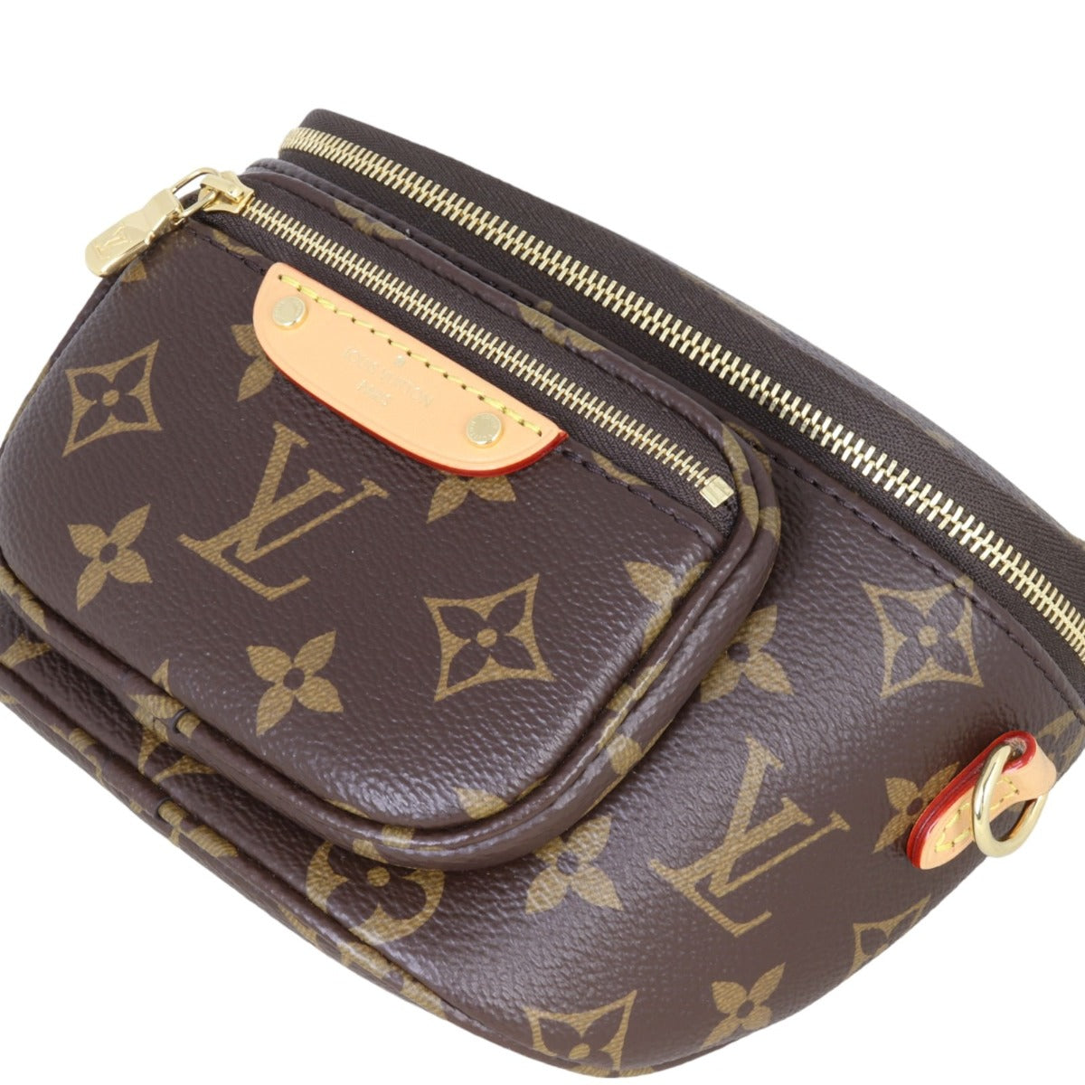 Louis Vuitton Mini Bumbag Monogram