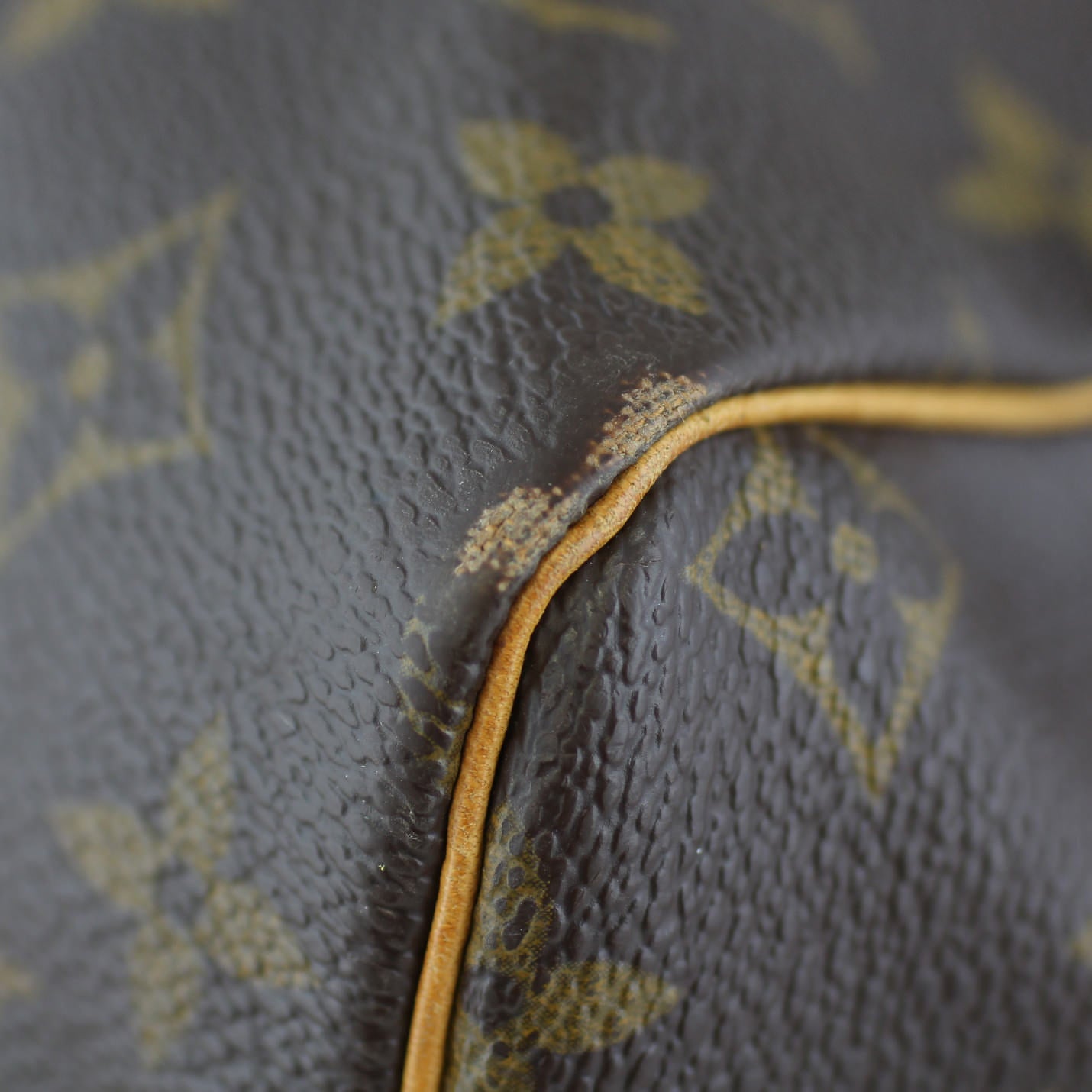 Louis Vuitton Speedy 30 Monogram corner