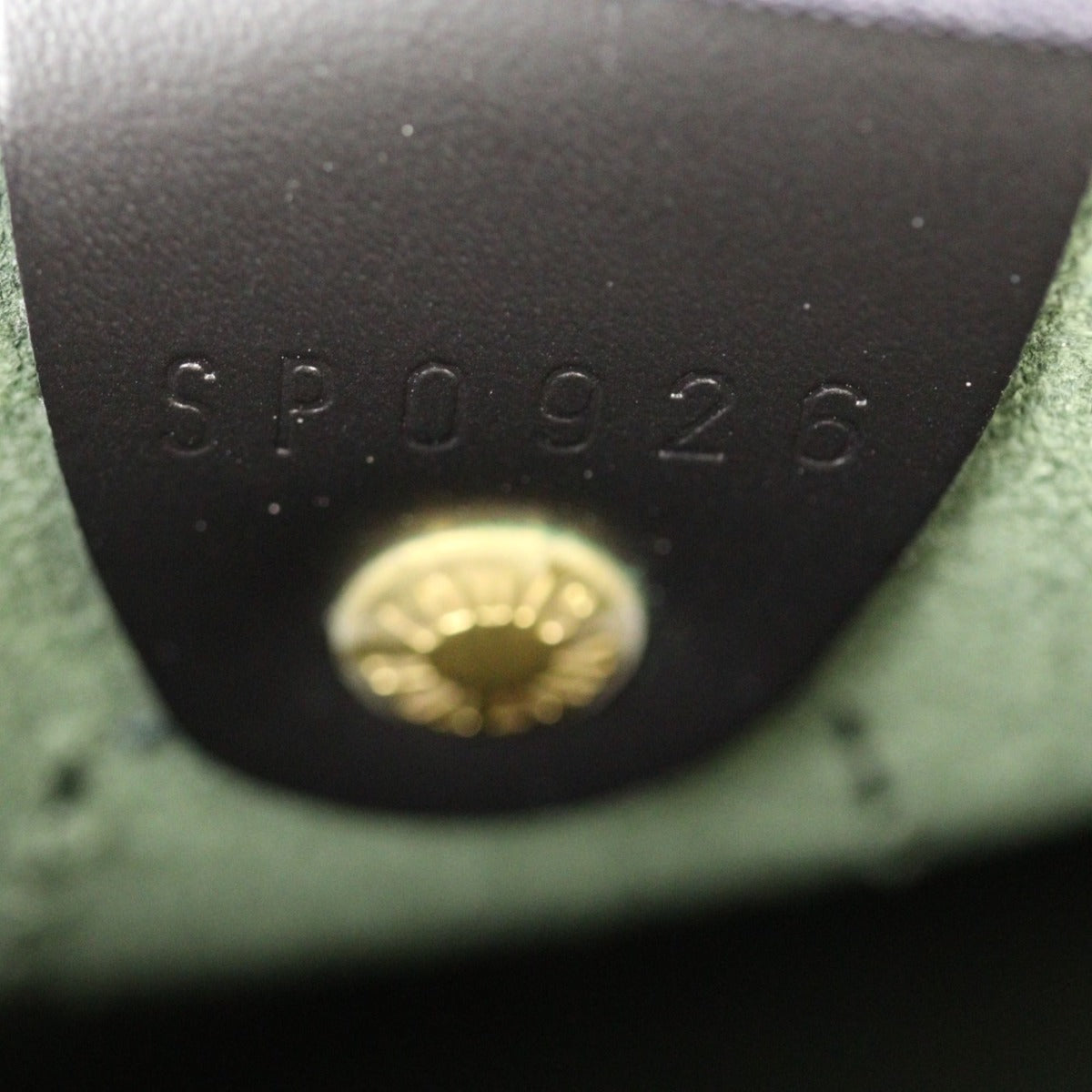 Louis Vuitton Speedy 25 Epi