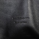 Saint Laurent Lou Mini Camera Bag