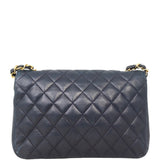 Chanel Vintage Half Moon Single Flap Bag