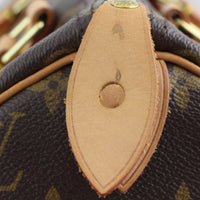 Louis Vuitton Speedy 30 Monogram Zip