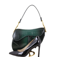 Dior Saddle Bag Python