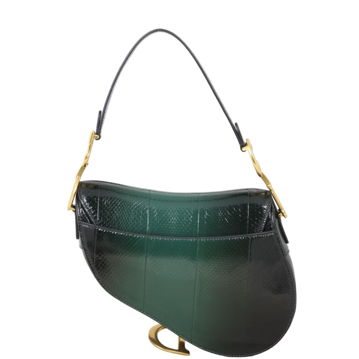 Dior Saddle Bag Python
