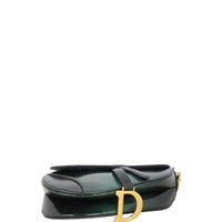 Dior Saddle Bag Python