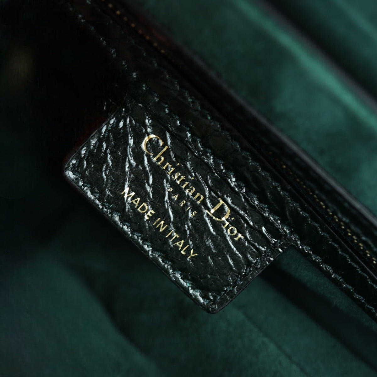 Dior Saddle Bag Python